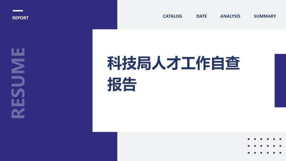 科技局人才工作自查报告ppt_第1页