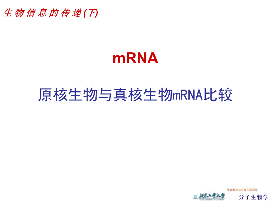 原核生物与真核生物mRNA比较_第1页