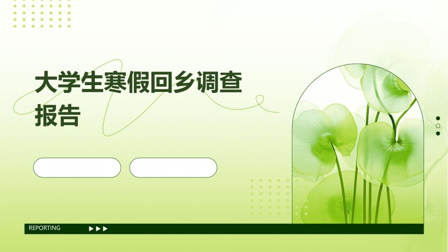 大学生寒假回乡调查报告ppt_第1页