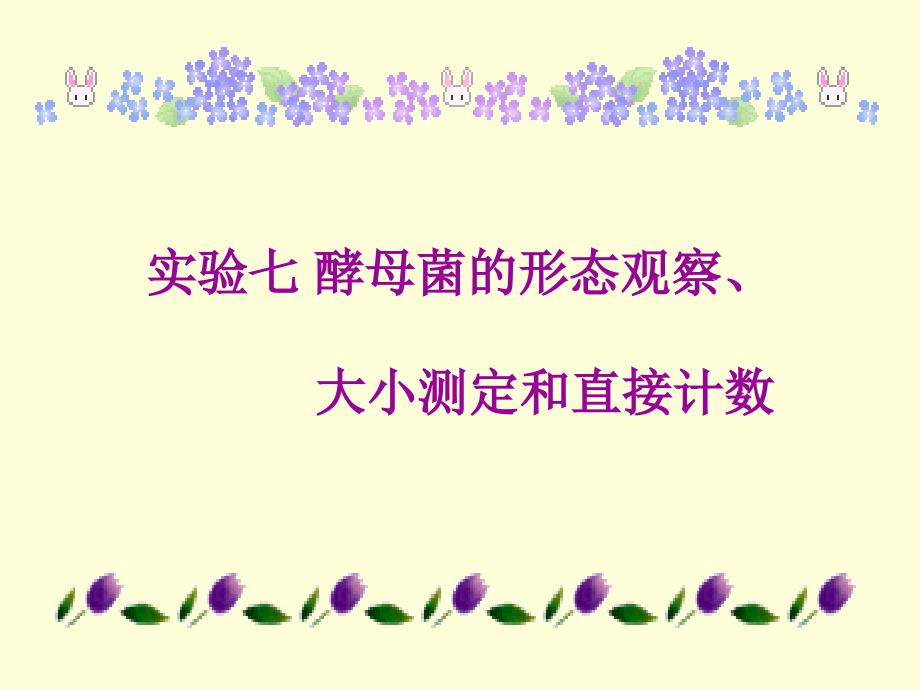 酵母菌的形态观察大小测定和直接计数_第1页