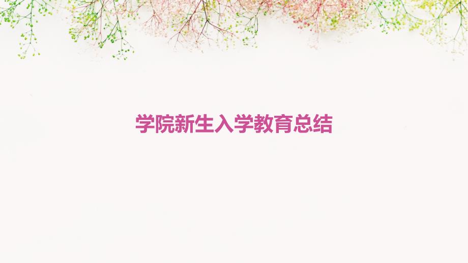 学院新生入学教育总结ppt_第1页