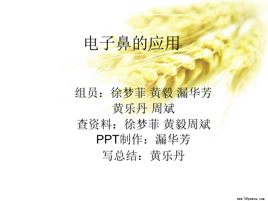《电子鼻的应用》PPT课件_第1页