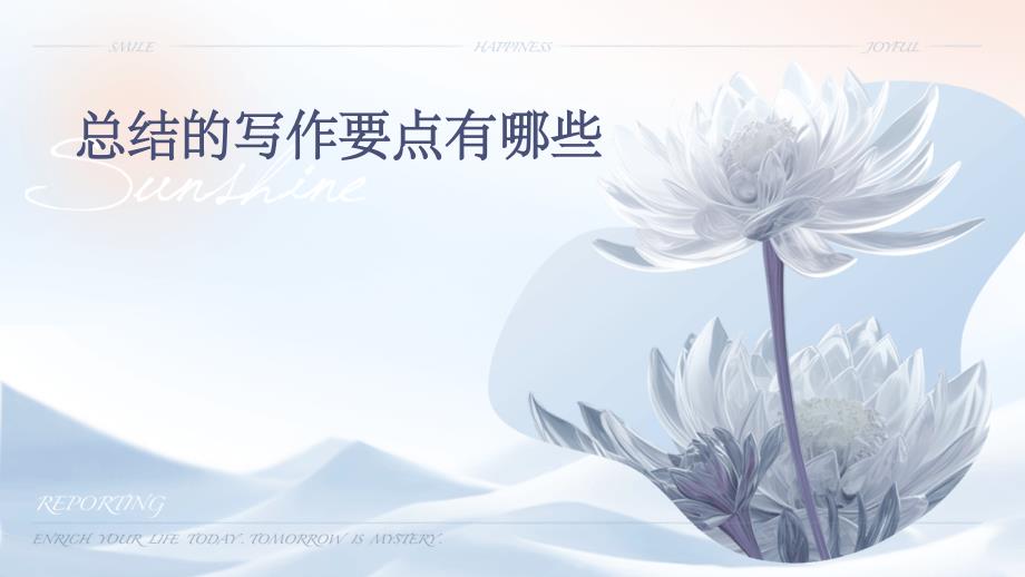 总结的写作要点有哪些ppt_第1页