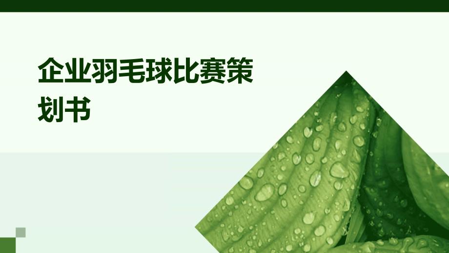 企业羽毛球比赛策划书ppt_第1页