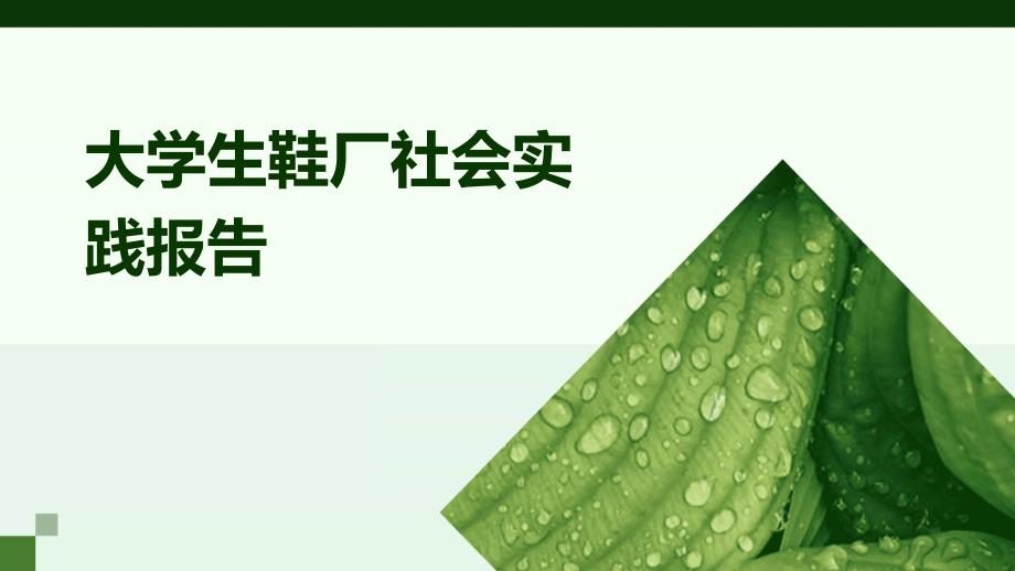 大学生鞋厂社会实践报告ppt_第1页
