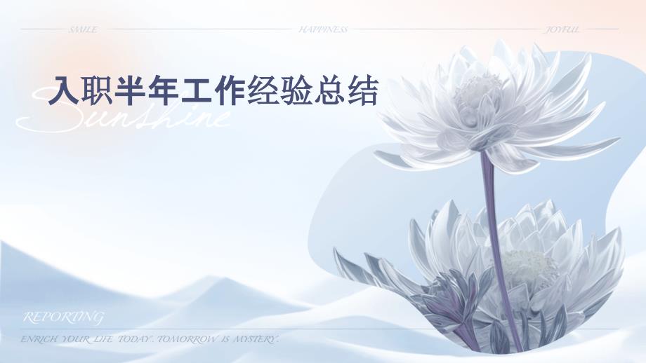 入职半年工作经验总结ppt_第1页