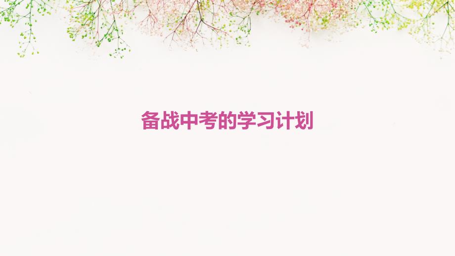 备战中考的学习计划ppt_第1页