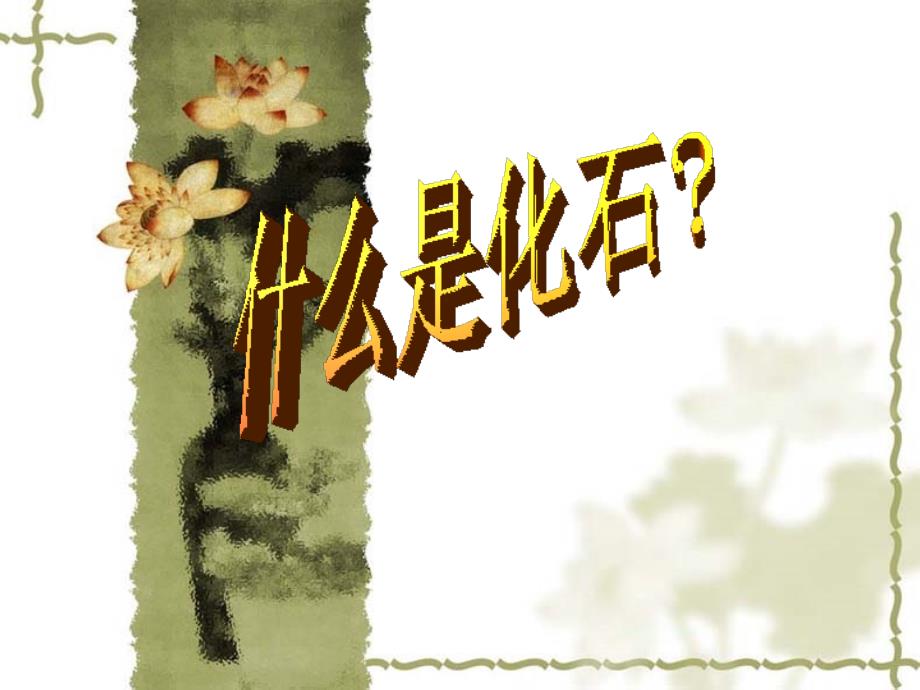 教育专题：33《活化石》(1-2课时)课件[1]_第1页
