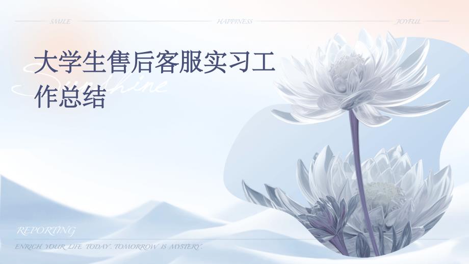 大学生售后客服实习工作总结ppt_第1页