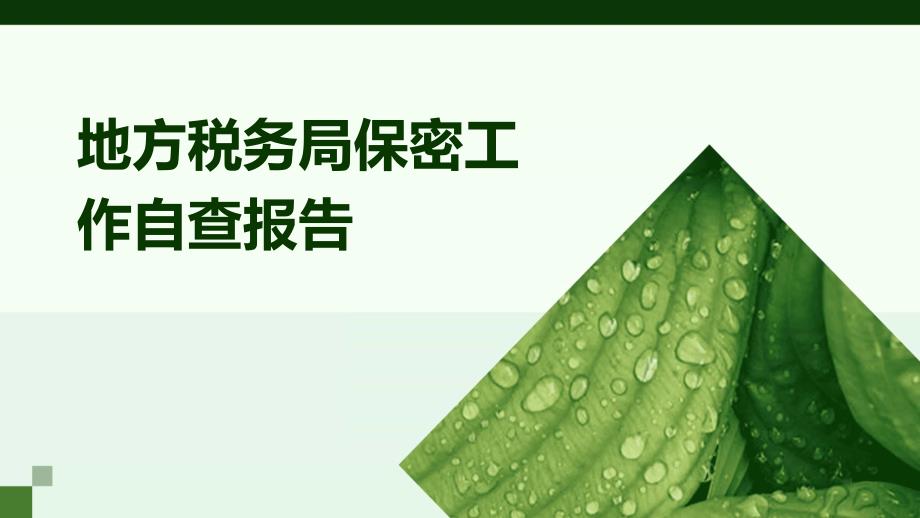 地方税务局保密工作自查报告ppt_第1页