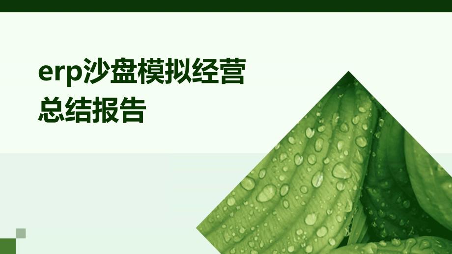 erp沙盘模拟经营总结报告ppt_第1页