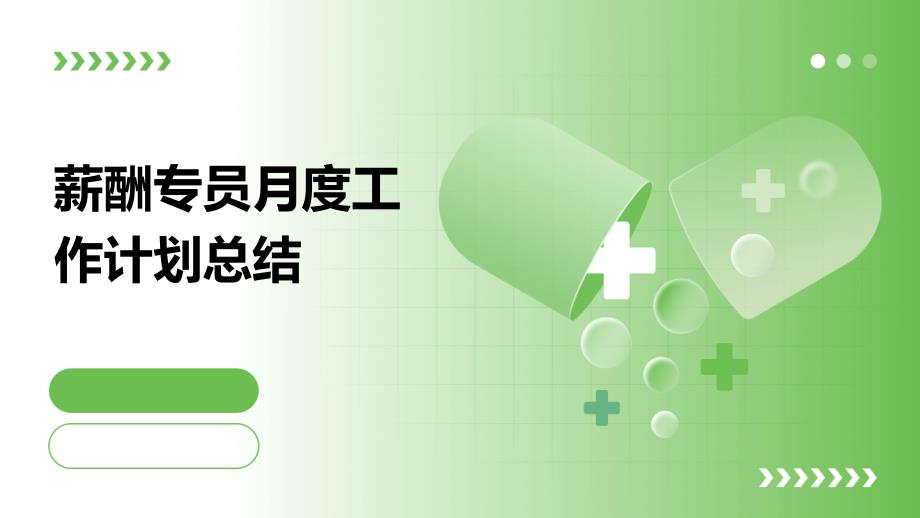 薪酬专员月度工作计划总结ppt_第1页