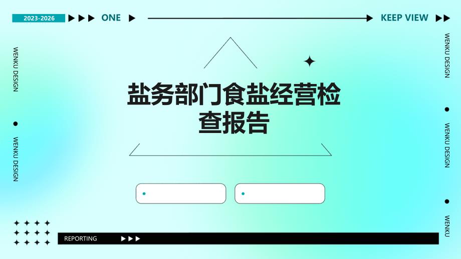 盐务部门食盐经营检查报告ppt_第1页