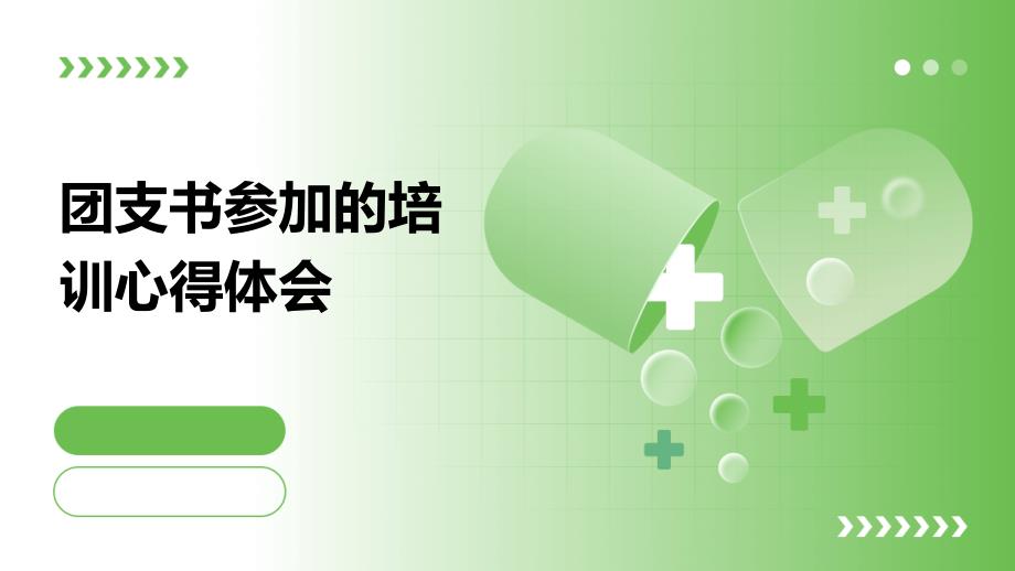 团支书参加的培训心得体会ppt_第1页