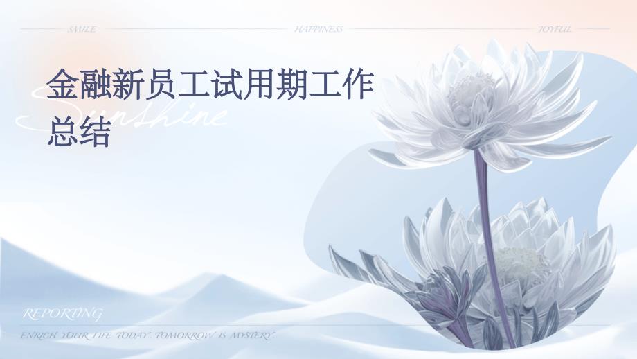 金融新员工试用期工作总结ppt_第1页