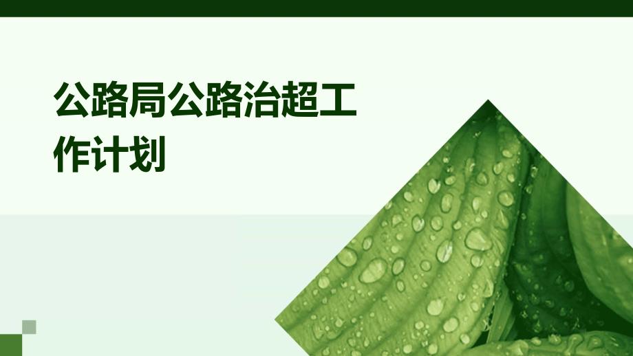公路局公路治超工作计划ppt_第1页