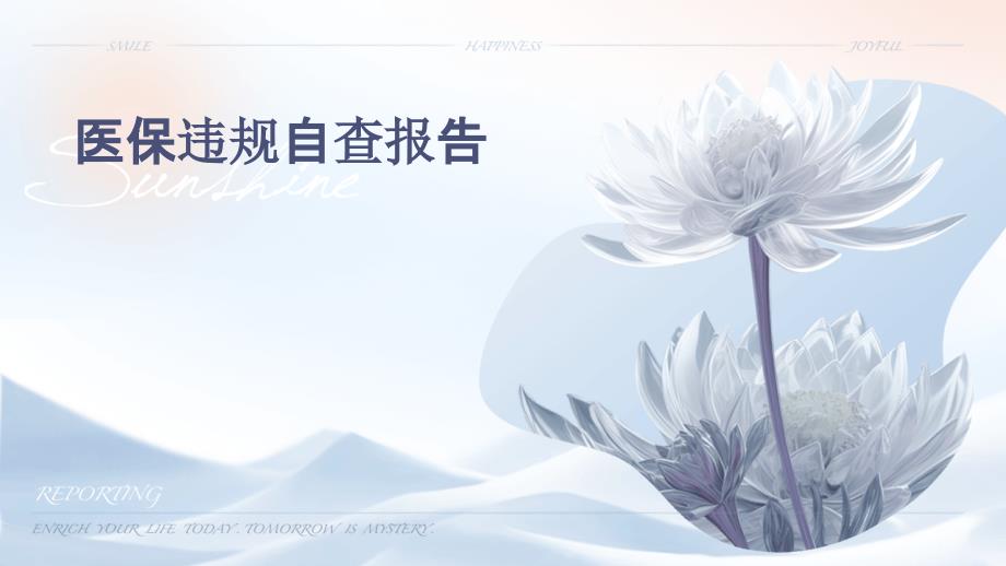 医保违规自查报告ppt_第1页
