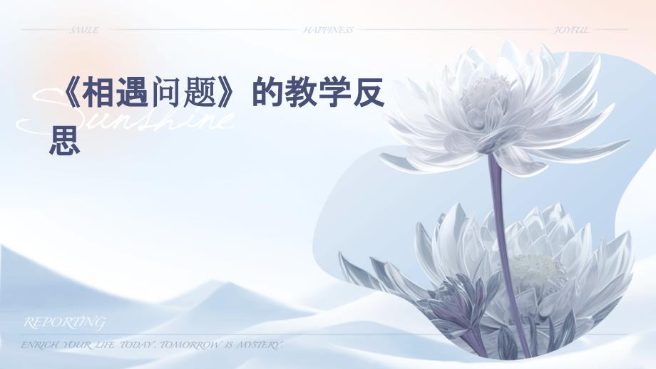 《相遇问题》的教学反思ppt_第1页