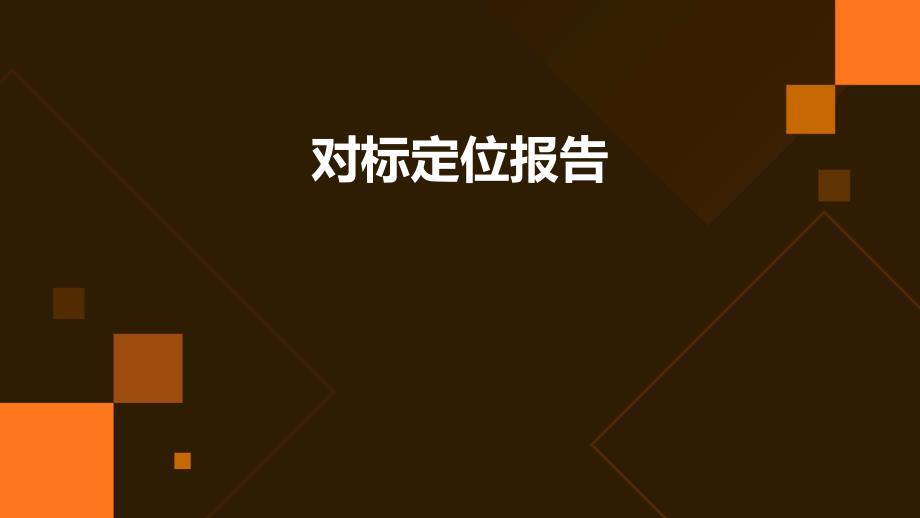 对标定位报告ppt_第1页