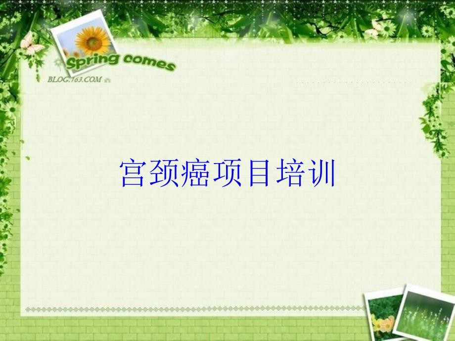 宫颈癌项目培训培训课件_第1页