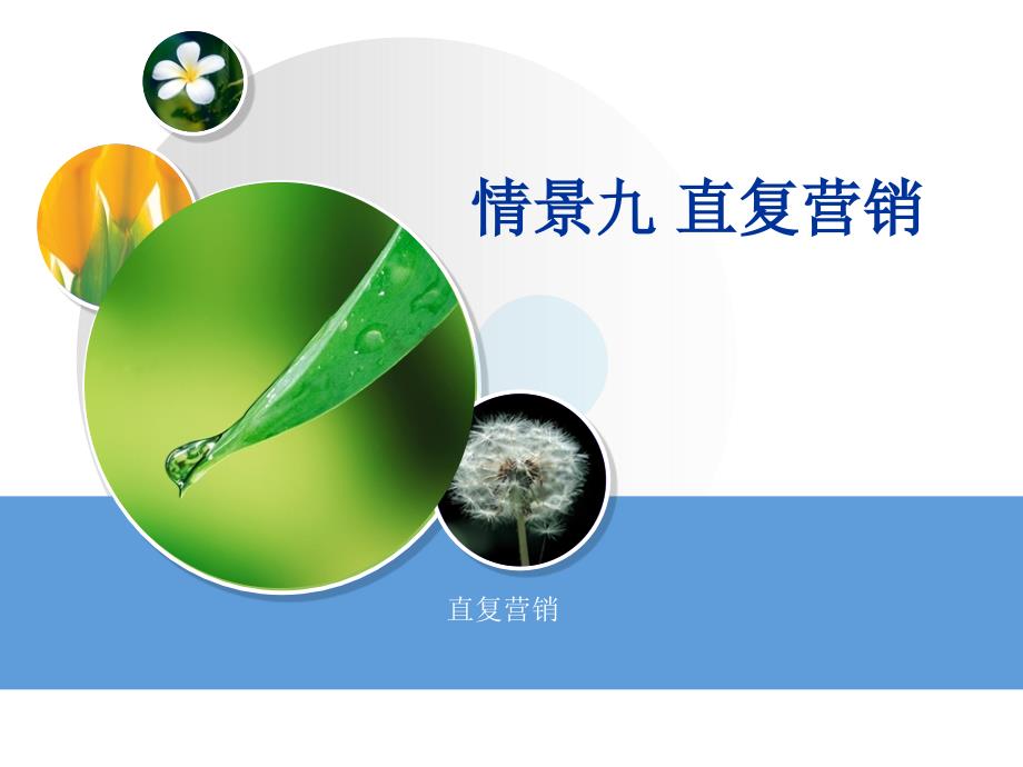 市场营销学讲课稿件-直复营销_第1页