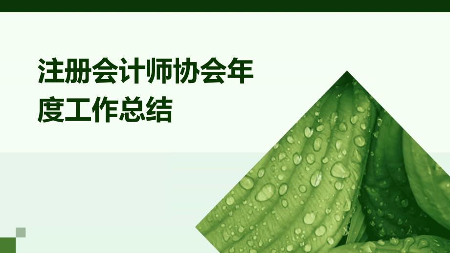 注册会计师协会年度工作总结ppt_第1页