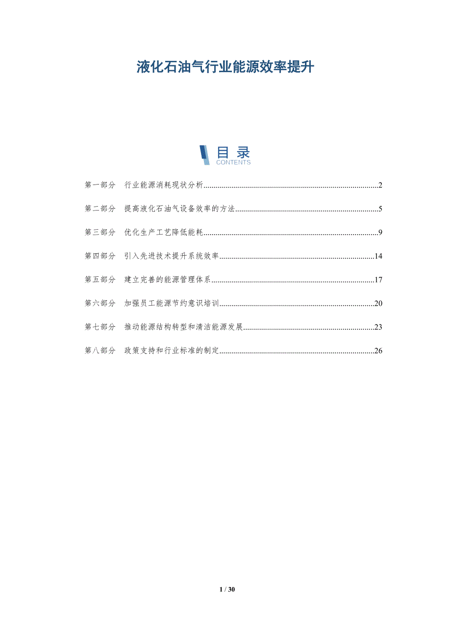 液化石油气行业能源效率提升-详解洞察_第1页