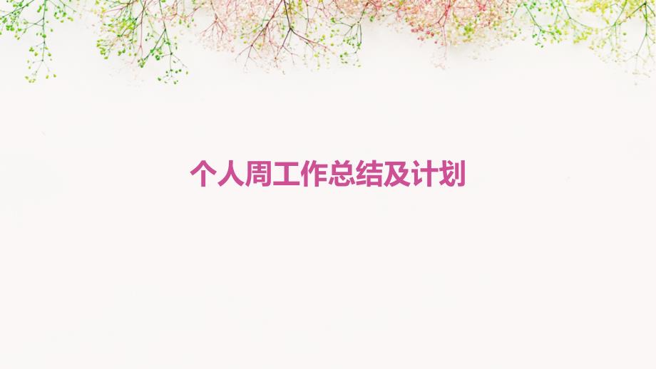 个人周工作总结及计划PPT_第1页