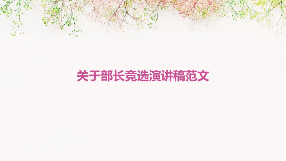 关于部长竞选演讲稿范文PPT_第1页