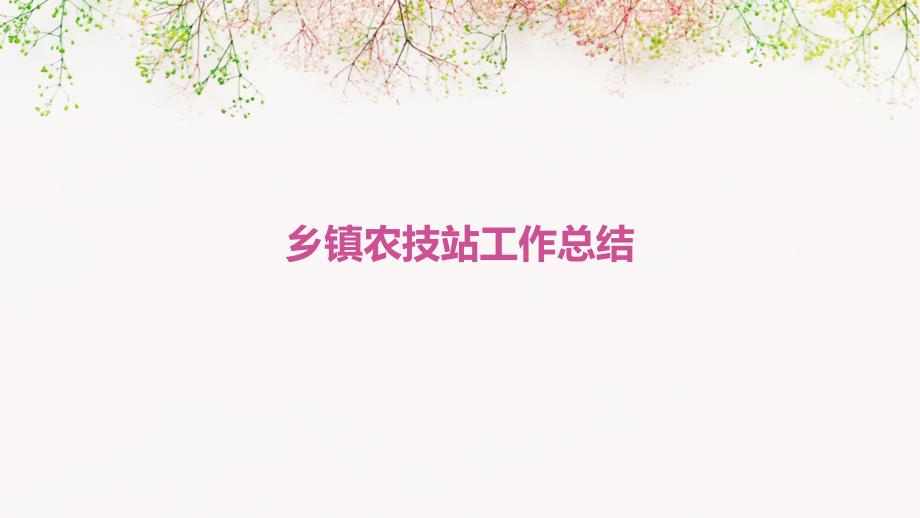 乡镇农技站工作总结PPT_第1页