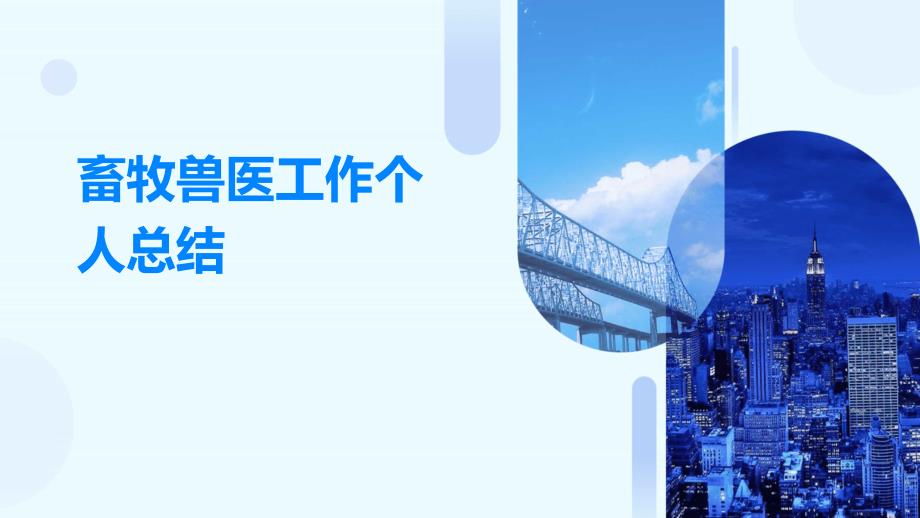 畜牧兽医工作个人总结PPT_第1页