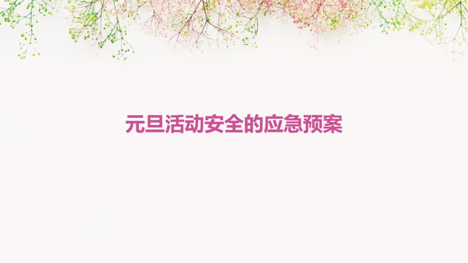元旦活动安全的应急预案PPT_第1页