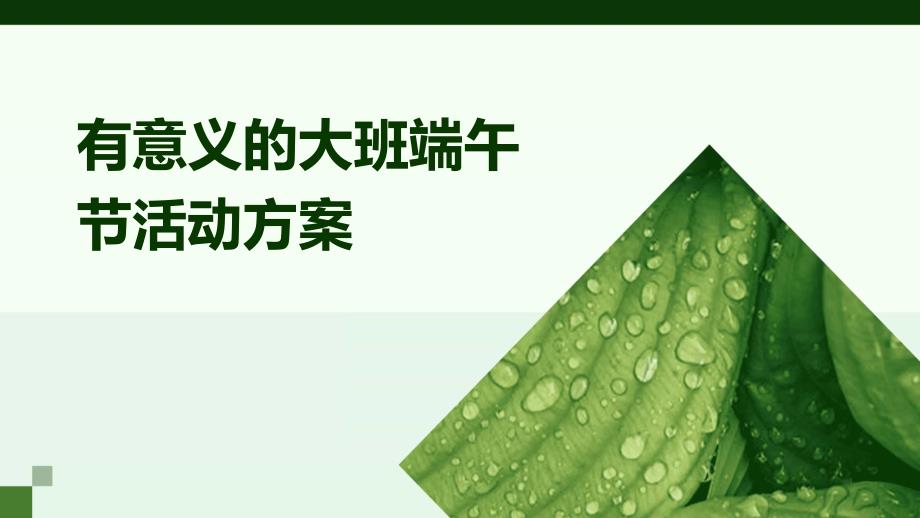 有意义的大班端午节活动方案PPT_第1页