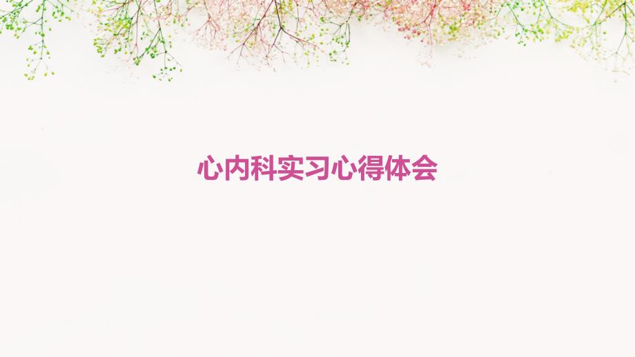 心内科实习心得体会PPT_第1页