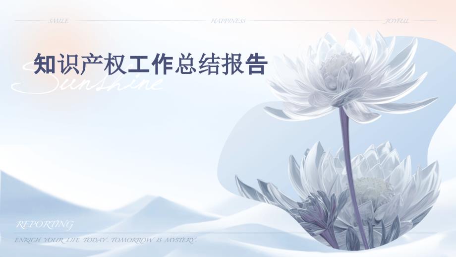 知识产权工作总结报告PPT_第1页