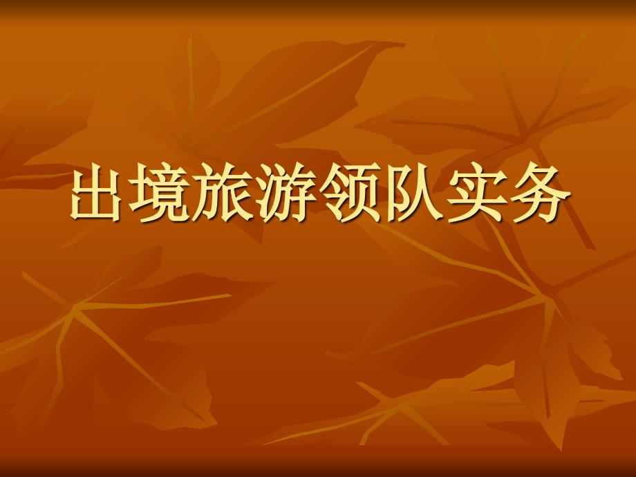 出境旅游领队概况_第1页