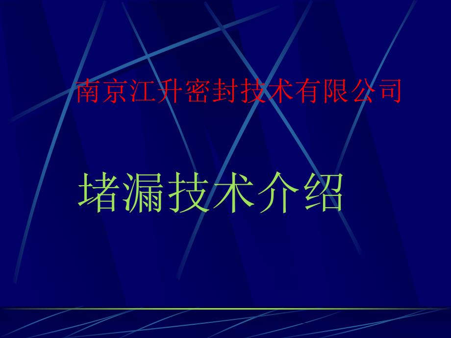 堵漏技术介绍_第1页