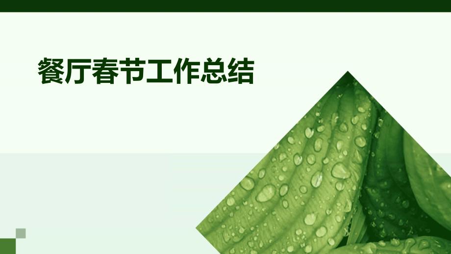 餐厅春节工作总结PPT_第1页