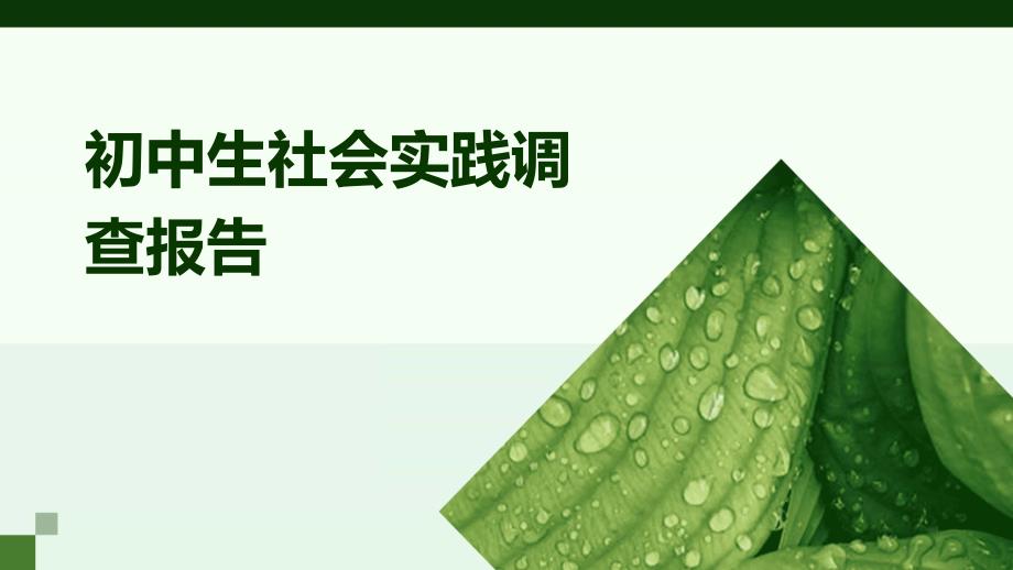 初中生社会实践调查报告PPT_第1页