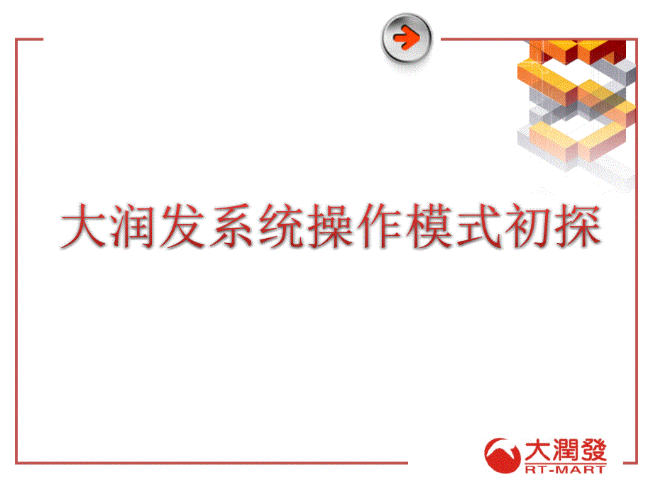 探索大润发系统操作模式38023_第1页