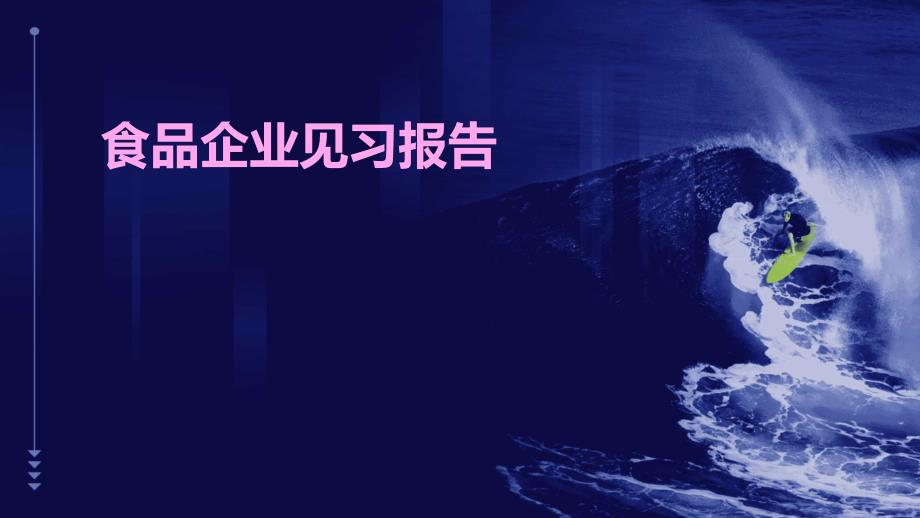 食品企业见习报告PPT_第1页