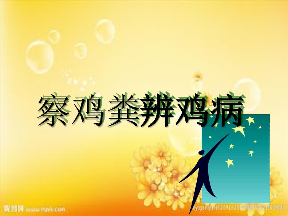 察鸡粪辨鸡病_第1页