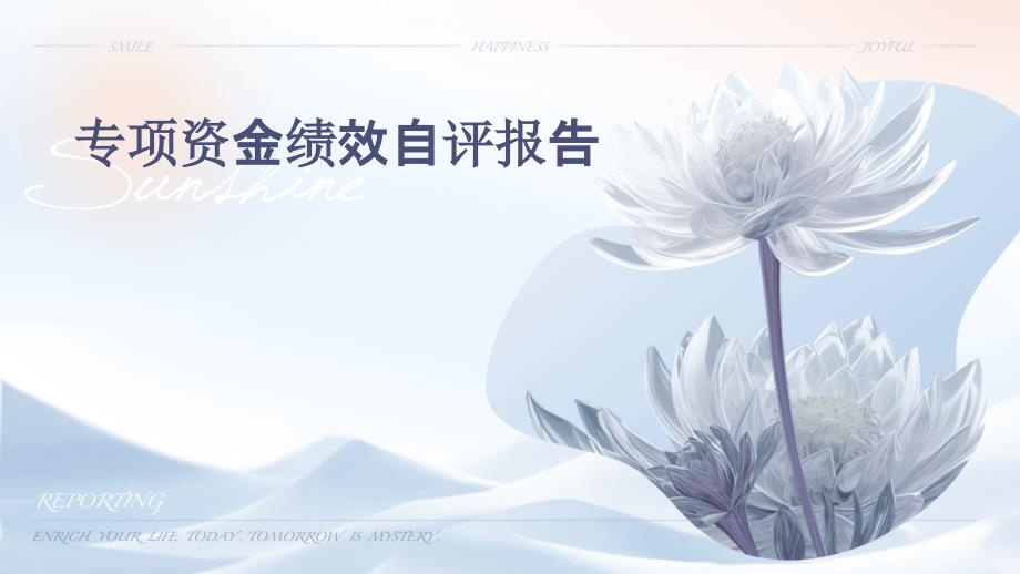 专项资金绩效自评报告PPT_第1页