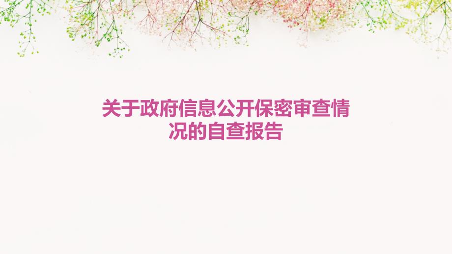 关于政府信息公开保密审查情况的自查报告PPT_第1页