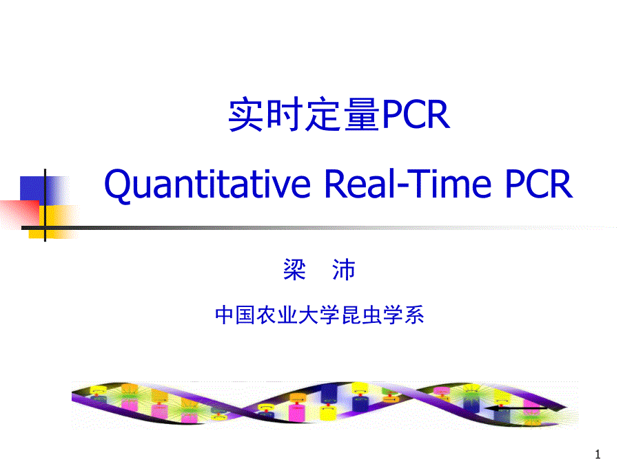 实时定量PCR课件_第1页