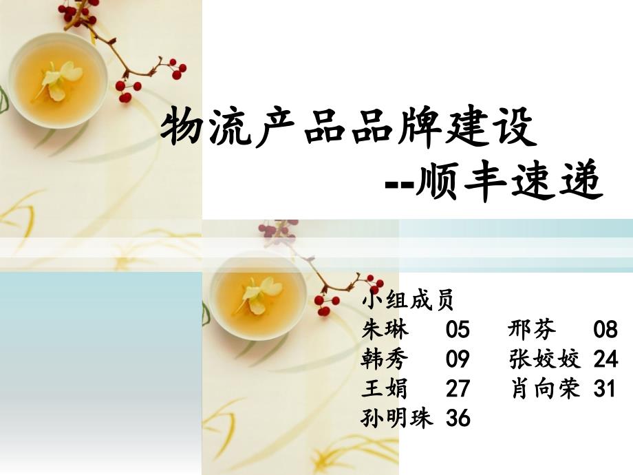 组物流产品品牌建设-顺丰速递_第1页
