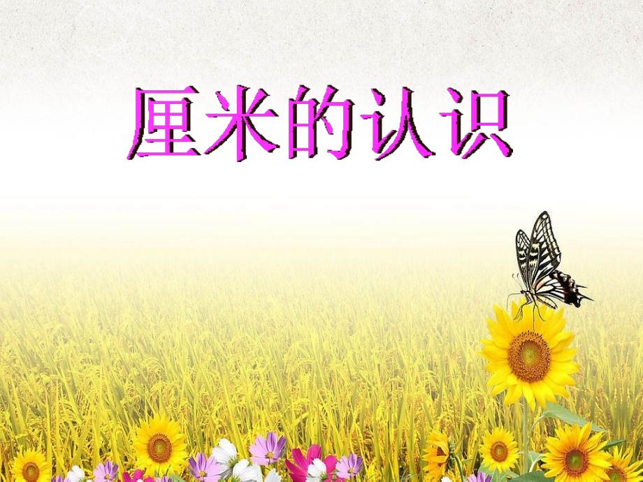 公开课《厘米的认识》教学课件_第1页