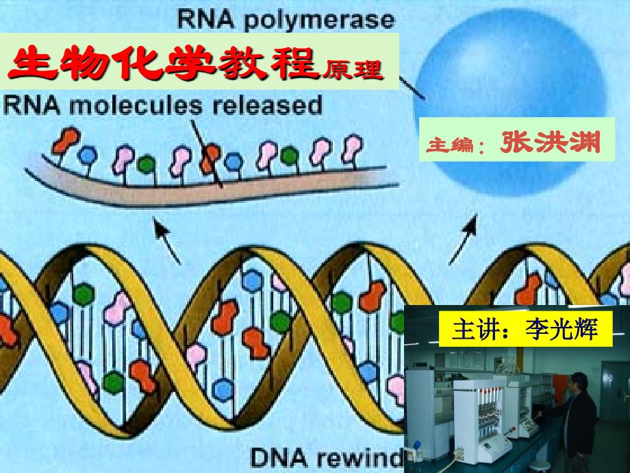 生物化学教程 张洪渊TEL (0813 )_第1页