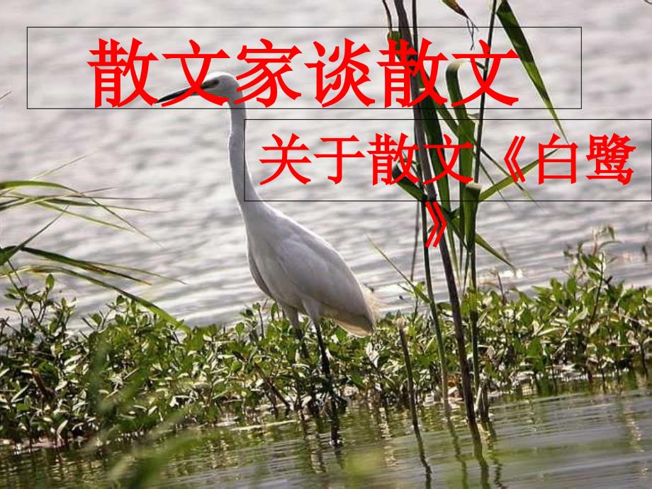 语文散文家谈散_第1页