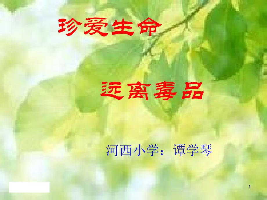二年级禁毒教育课件_第1页